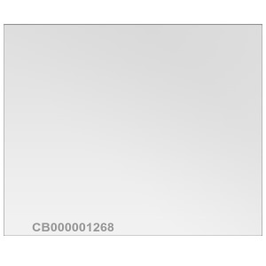 Стекло защитное прозрачное 110*90 мм (стекло)